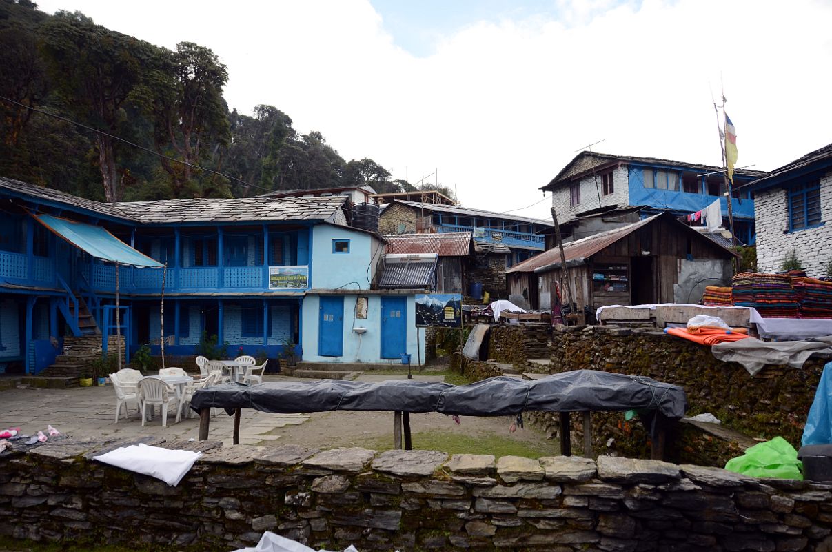 11 Tadapani On The Way From Ghorepani To Chomrong 